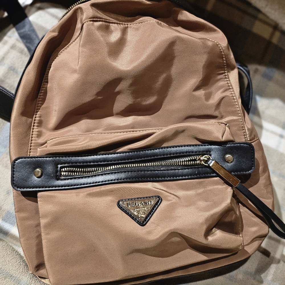 Pegaso conceal carry back pack